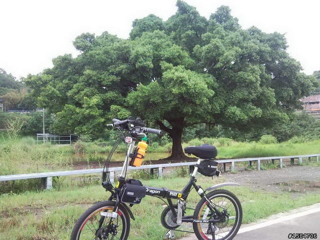 板橋至石門大壩三坑老街阿姆坪自行車之旅