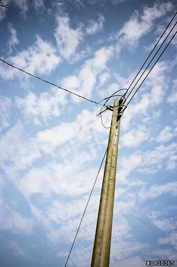 CONTAX TVS III + REALA ACE