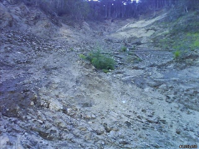 OFF ROAD 卓社林道