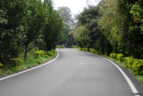 2010年環島之自行車道番外篇[Stage3 桃園縣新屋鄉綠色自行車道]