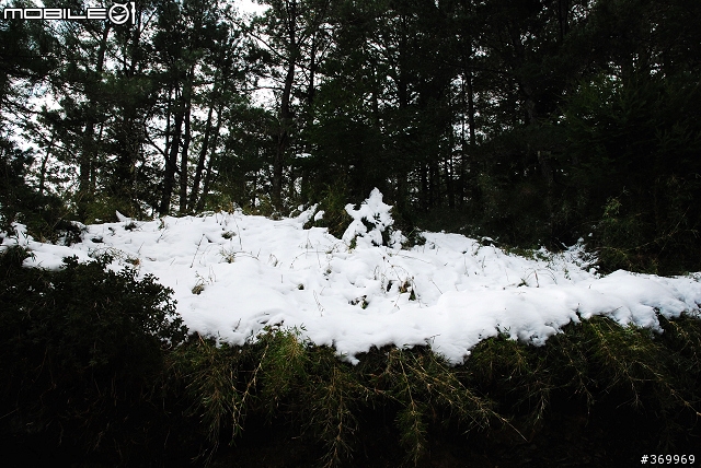 20100221 年少輕狂，合歡山賞雪之旅。(圖多、文多)