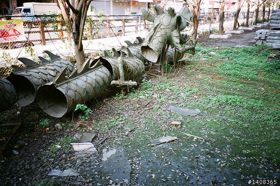 CONTAX TVS III + REALA ACE