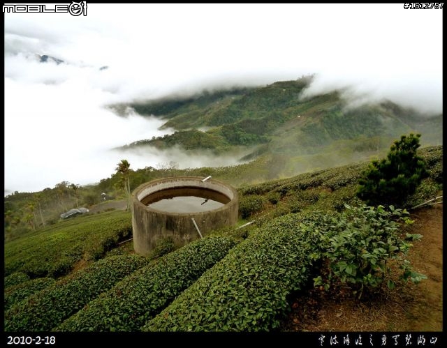 〝強烈推薦〞【雲霧繚繞之碧湖山】iN 『嘉義梅山』