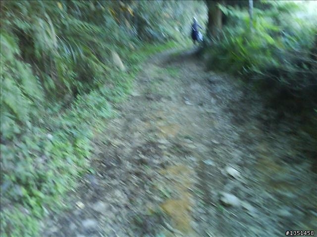 OFF ROAD 卓社林道