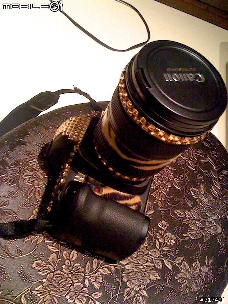 狐假虎威之5D2應節新裝