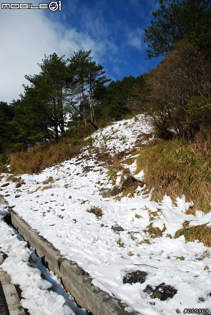 20100221 年少輕狂，合歡山賞雪之旅。(圖多、文多)