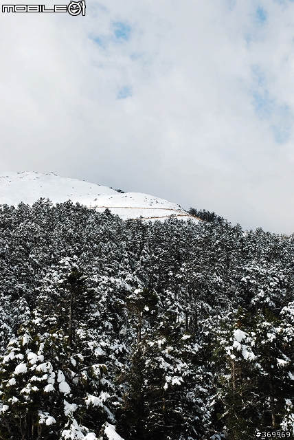20100221 年少輕狂，合歡山賞雪之旅。(圖多、文多)