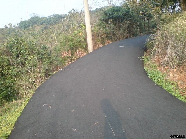 剛剛去探的新路(楠雅村)