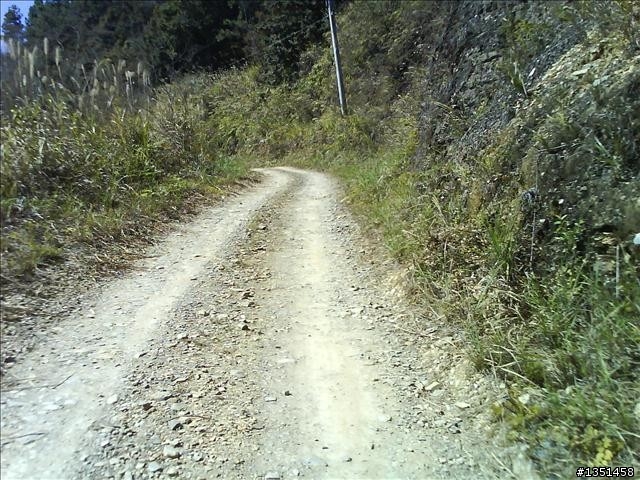 OFF ROAD 卓社林道