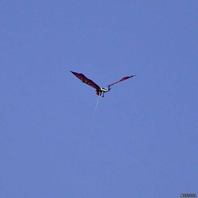 Canon EF 100mm f/2.8 L IS USM Macro ～非微距小試