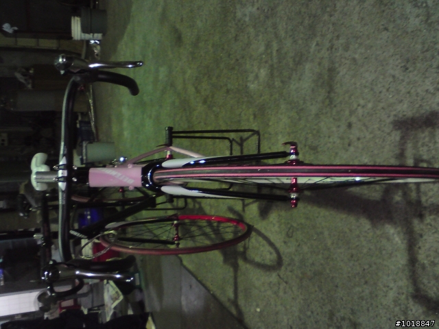 我的小黑與女王的頑皮豹之不專業開箱文