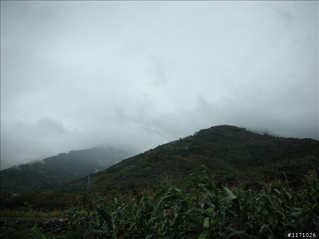 牽手環島千里行