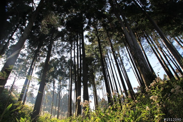 [遊記]摔傷不退，隔週雪見我又來啦!