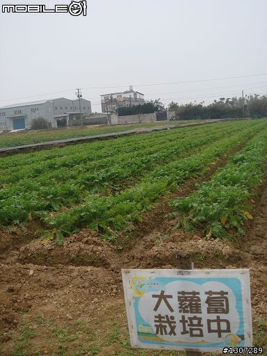 [分享自助式修這修那篇]非常不專業分享DIY修補、修車記。