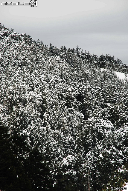 20100221 年少輕狂，合歡山賞雪之旅。(圖多、文多)