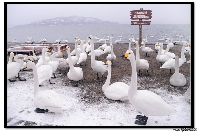 北海道冰天雪地跟團之旅：Day 2  網走、屈斜路湖、阿寒湖