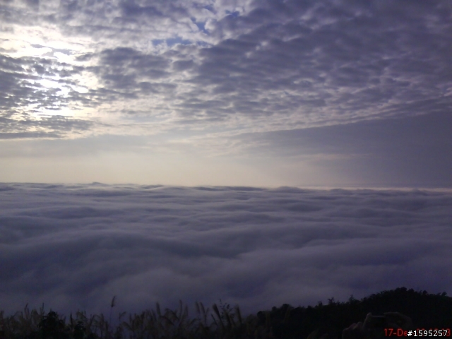 20091217雲林古坑十字關至嘉義梅山太平雲海遊