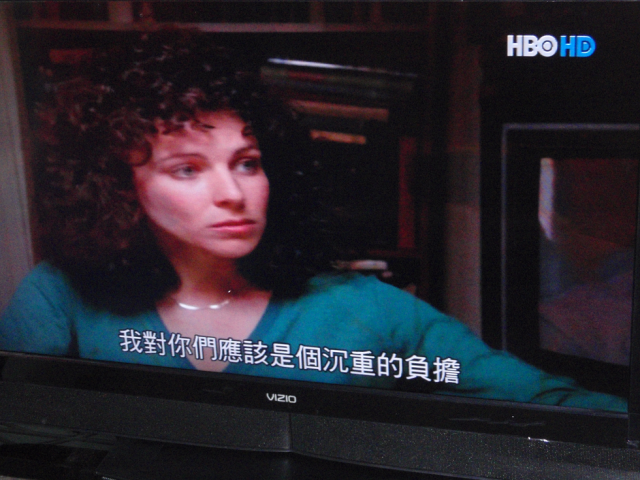 好市多購買的VIZIO VW420E-T掛了