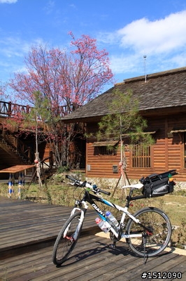 [遊記]摔傷不退，隔週雪見我又來啦!