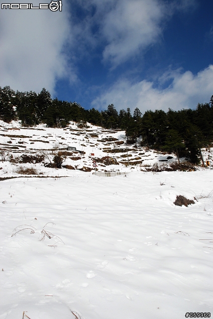 20100221 年少輕狂，合歡山賞雪之旅。(圖多、文多)