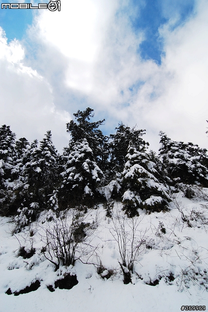 20100221 年少輕狂，合歡山賞雪之旅。(圖多、文多)