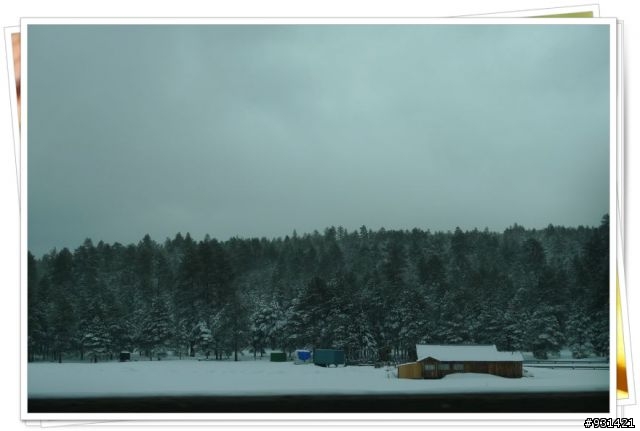 2010春節美西Arizona,Flagstaff,Las Vegas,Sedona大暴走