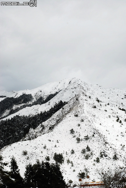 20100221 年少輕狂，合歡山賞雪之旅。(圖多、文多)