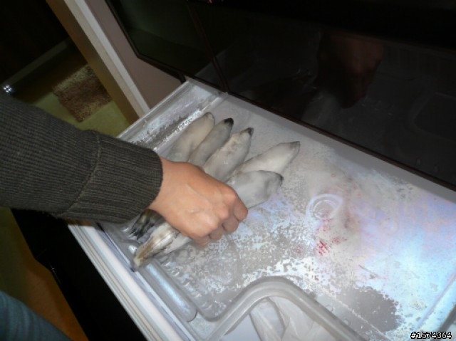 震驚!!5只烏魚子跟30隻冰魚的故事