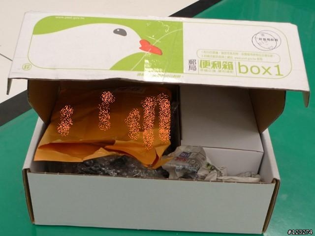 [分享] GTR AERO 新飾品~前叉魚眼介紹+安裝+測試篇