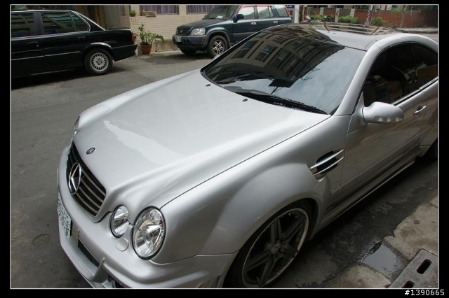 我家巷口驚見寬體猛獸?