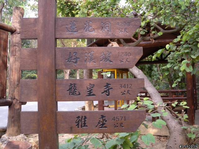 隨意騎程柴山之旅...