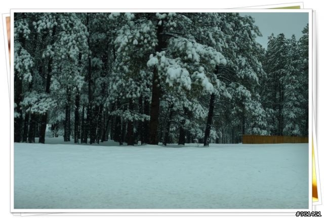 2010春節美西Arizona,Flagstaff,Las Vegas,Sedona大暴走