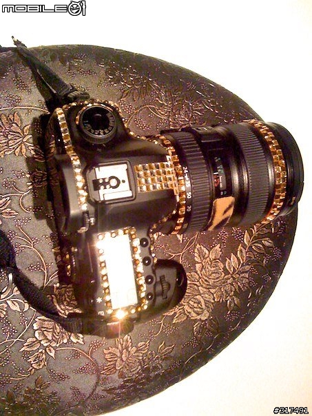 狐假虎威之5D2應節新裝