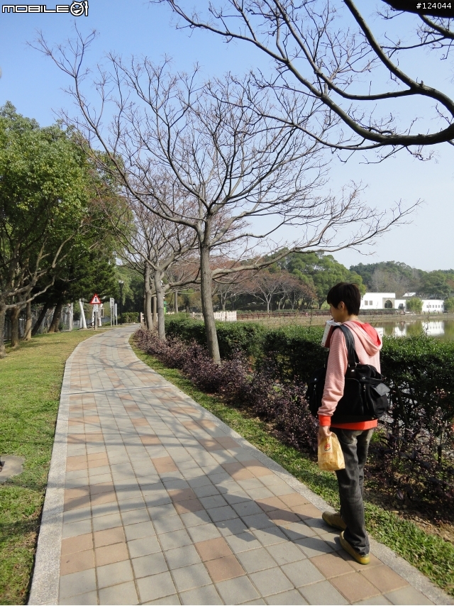 SONY W380 隨手拍