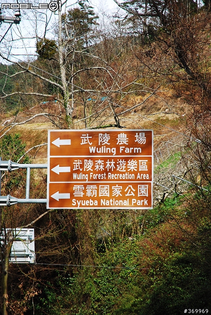 20100221 年少輕狂，合歡山賞雪之旅。(圖多、文多)