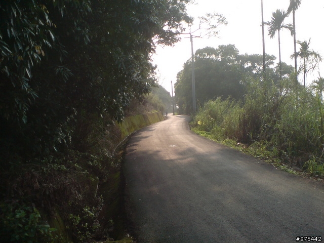 剛剛去探的新路(楠雅村)