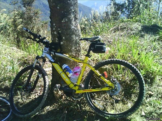 OFF ROAD 卓社林道