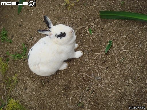 [分享自助式修這修那篇]非常不專業分享DIY修補、修車記。