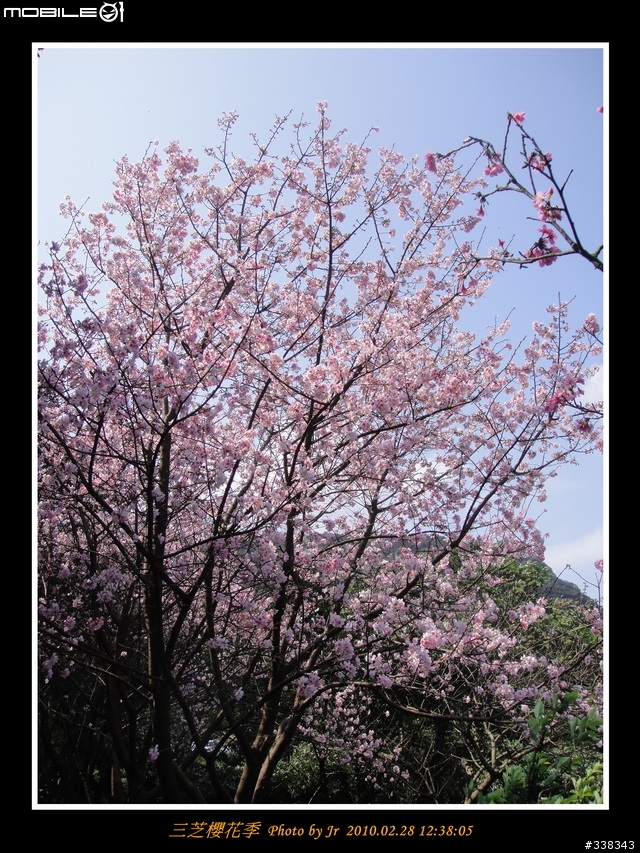 【臨時團】02/28 三芝櫻花季 by 小范