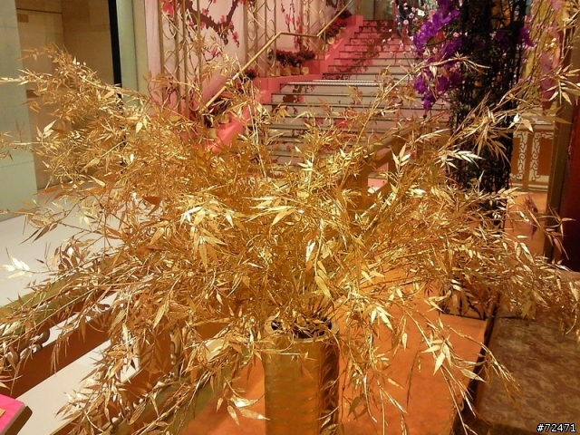 2010 恭喜發財，香港新春第一篇 ”桃花源記” BY三星 i8000