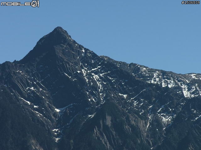 1/30 挑戰阿里山塔塔加一日來回 (文冗圖多請見諒)