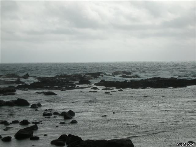 牽手環島千里行