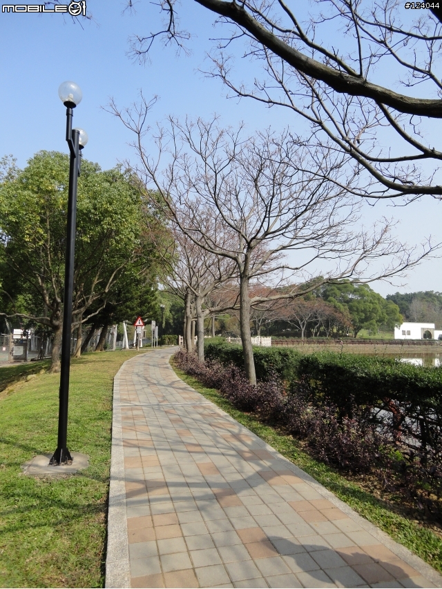 SONY W380 隨手拍