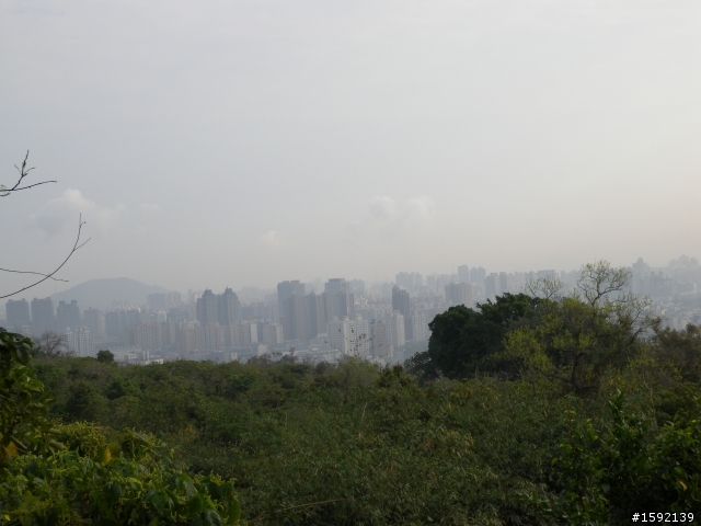 隨意騎程柴山之旅...