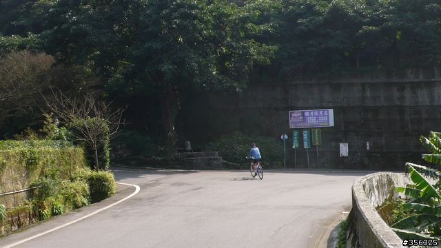 [遊記] 2010 三芝櫻木花道-單車賞櫻..(google地圖街景利用)