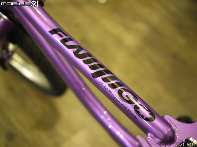 【分享】輕鬆折!輕鬆帶!輕鬆騎!Flamingo FD-14