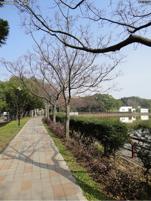 SONY W380 隨手拍