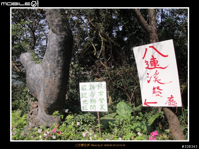【臨時團】02/28 三芝櫻花季 by 小范