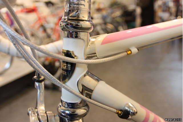 女王與男僕的日本丹下  TANGE  鋼管公路車 經典登場