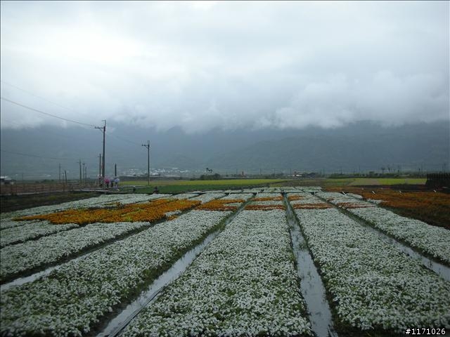 牽手環島千里行